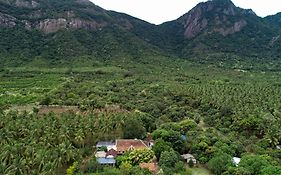 Pannadikadu Homestay